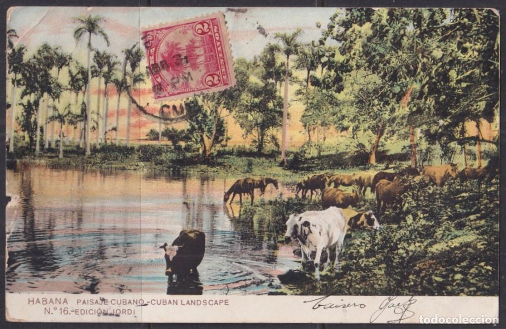 Postcards: POS-1847 CUBA POSTCARD 1905 PALM TREE RIVER LANDSCAPE MAXIM CARD TO FRANCE.