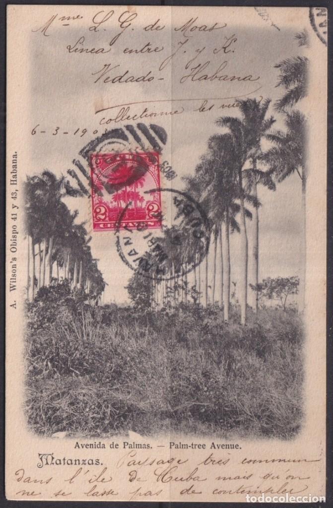 Postcards: POS-1845 CUBA POSTCARD 1903 PALM TREE AVENUE MAXIM CARD TO FRANCE.