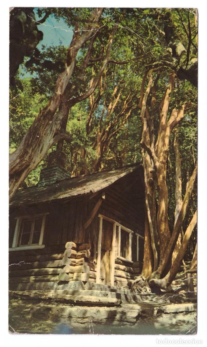 Postales: ARGENTINA &bull; BARILOCHE &bull; BOSQUE DE ARRAYANES - Foto 1