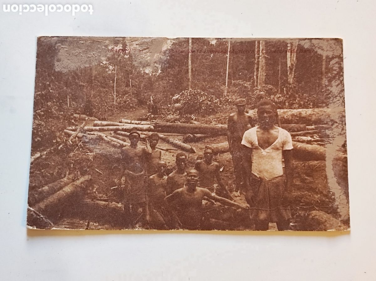 Postales: Antigua postal indigenas cortando arboles troncos, Publicaciones Patrioticas