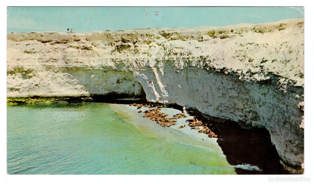 Cartoline: ARGENTINA &bull; PUERTO MADRYN (CHUBUT) &bull; LOBER&Iacute;A