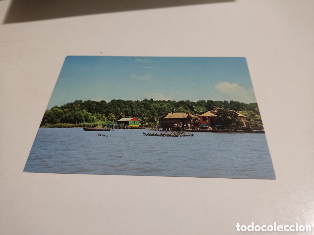 Postales: Postal Sinamaica r&iacute;o Lim&oacute;n - Foto 1