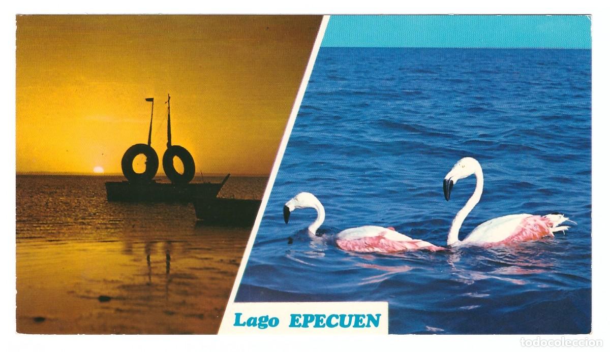 Cartoline: ARGENTINA // LAGO EPECU&Eacute;N // ATARDECER Y FLAMENCOS