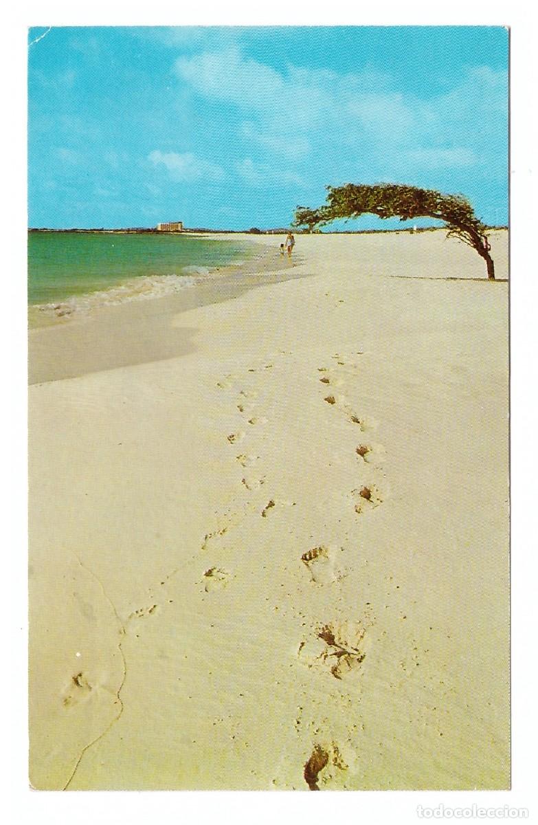 Postales: ARUBA &bull; ARUBAS FAMOUS DIVI-DIVI TREE - Foto 1