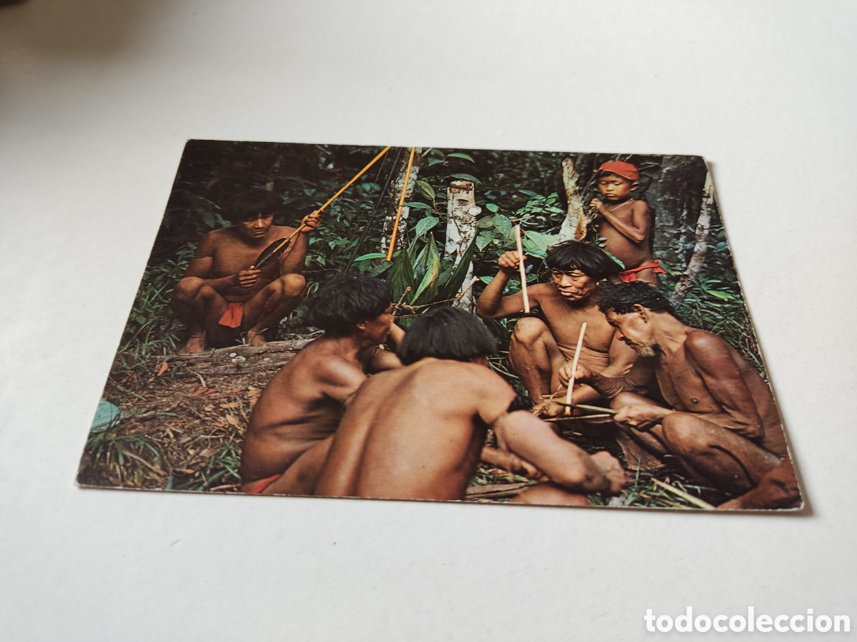 Cartoline: Postal indios Sanemas, preparando kurare