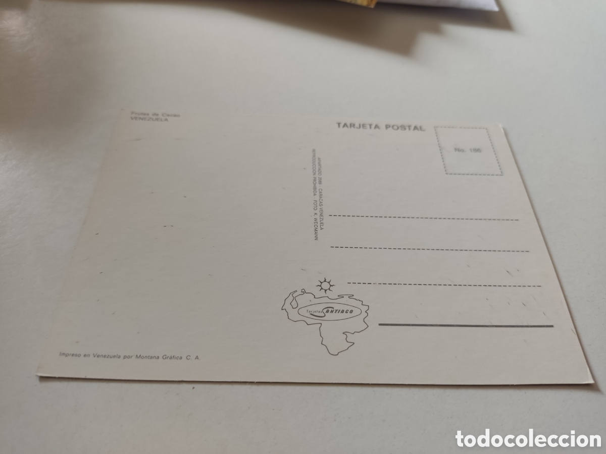 Postales: Postal frutas de cacao, Venezuela - Foto 2