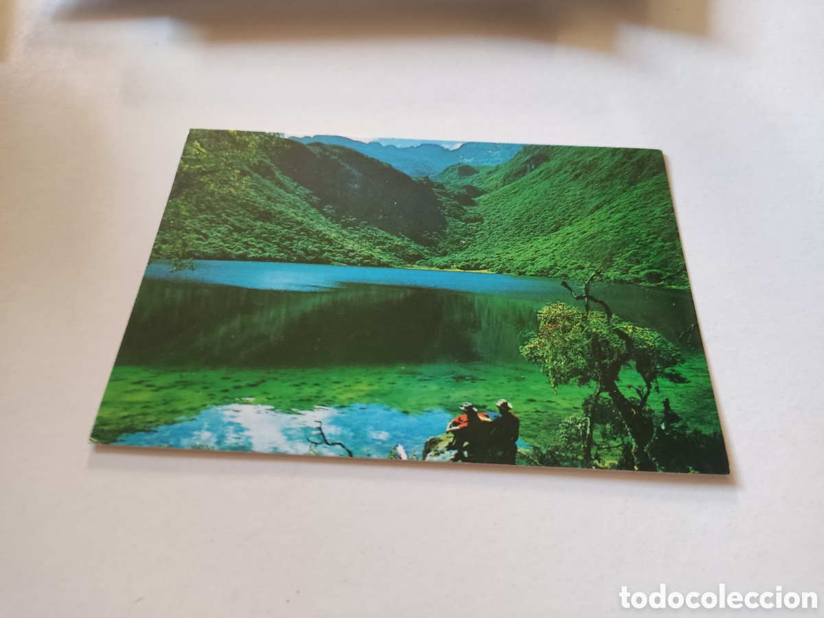 Cartes Postales: Postal laguna negra, Venezuela
