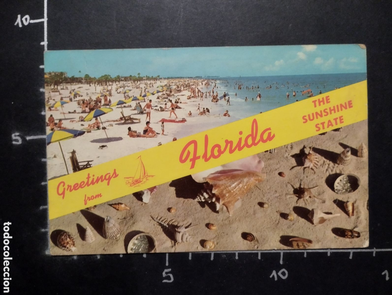 Postales: POSTAL. ESTADOS UNIDOS - GREETINGS FROM FLORIDA. THE SUNSHINE STATE