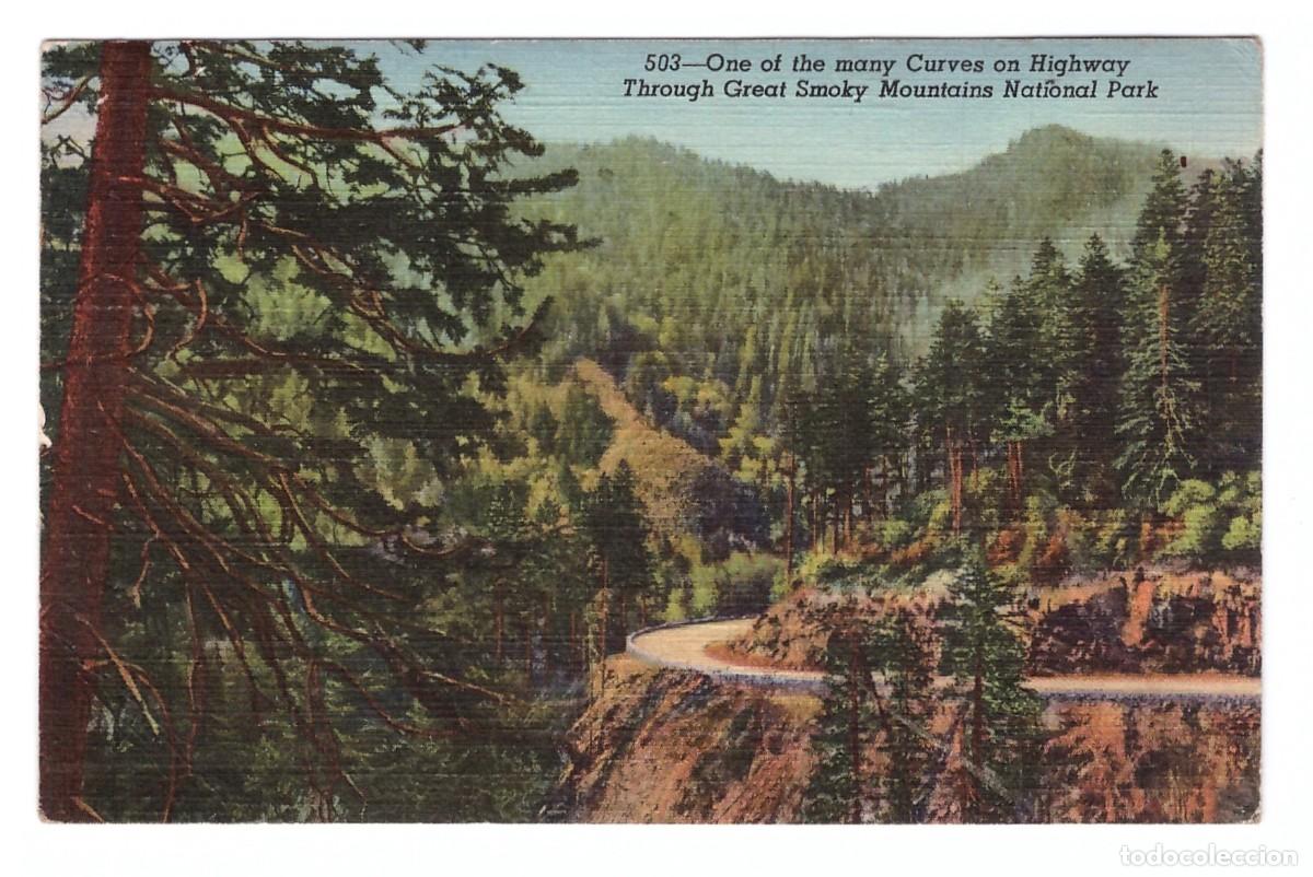 Postales: ESTADOS UNIDOS &bull; ONE OF THE MANY CURVES ON HIGHWAY THROUGH GREAT SMOKY MOUNTAINS NATIONAL PARK