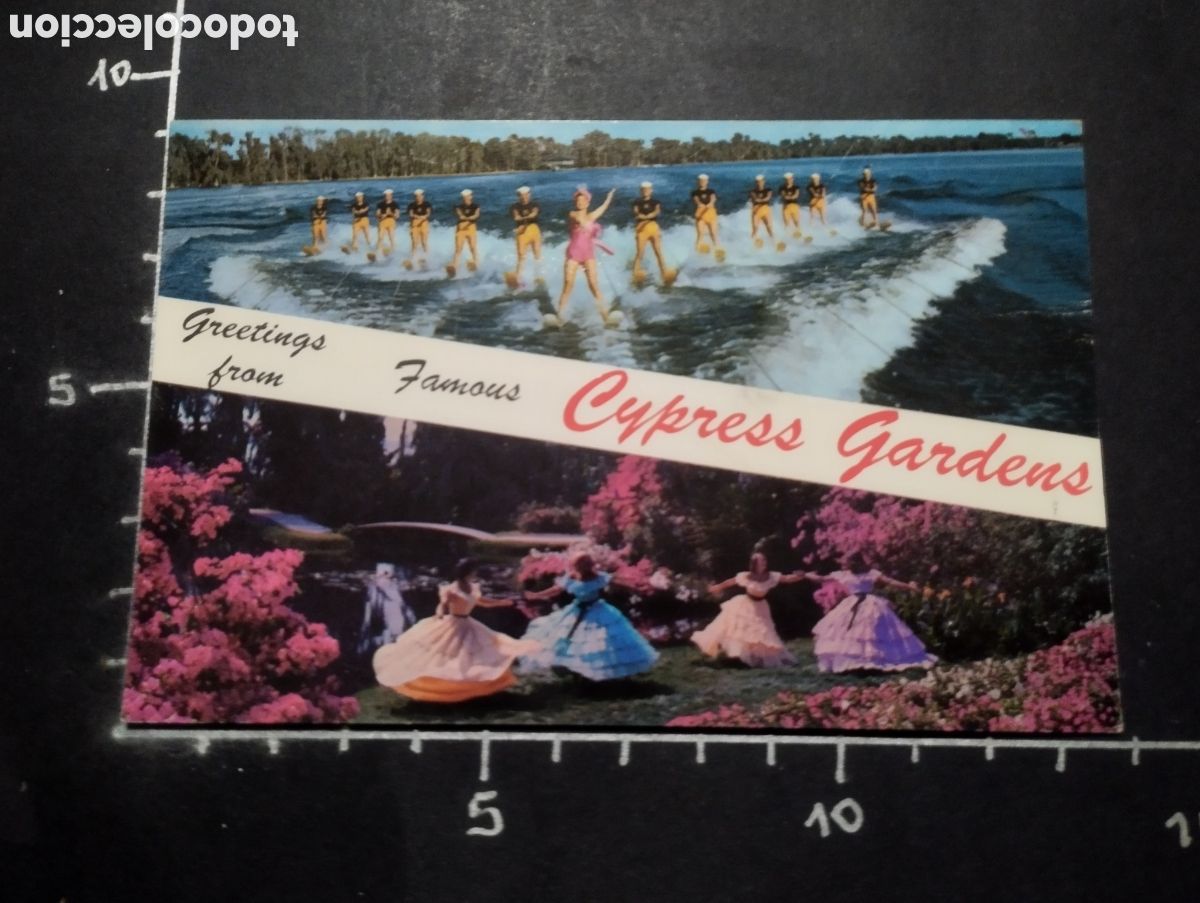 Postais: POSTAL. FORIDA (ESTADOS UNIDOS) - GRETTINGS FROM FAMOUS CYPRESS GARDENS