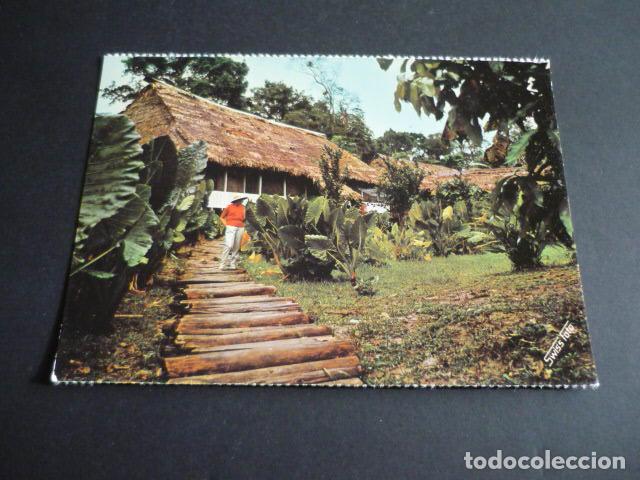 Postales: PERU SELVA AMAZONICA INDIGENAS POSTAL - Foto 1