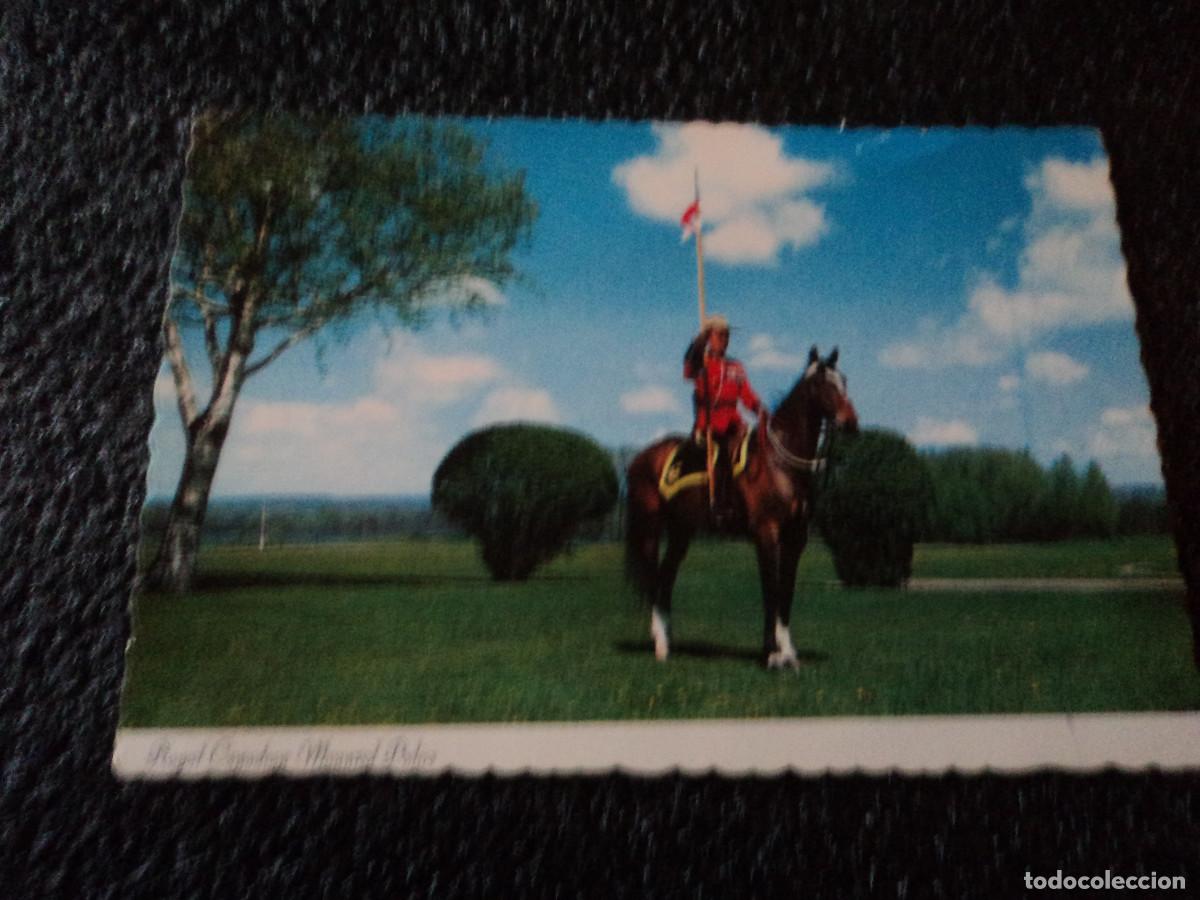 Cartoline: royal canadian mounted police, circulada
