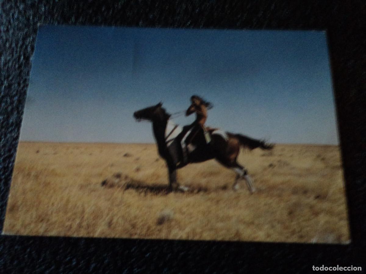 Cartoline: lakota man, buffalo leaves, circulada