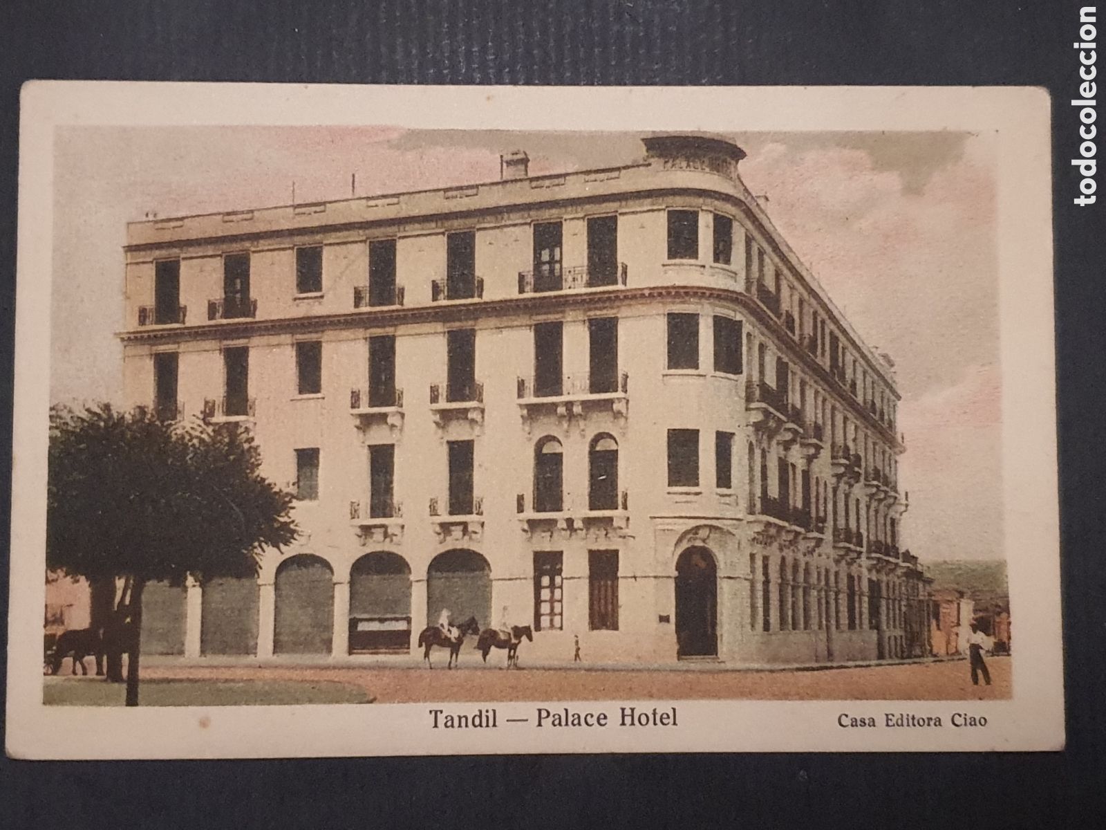 Postcards: POSTAL TANDIL ARGENTINA PALACE HOTEL CASA EDITORA CIAO