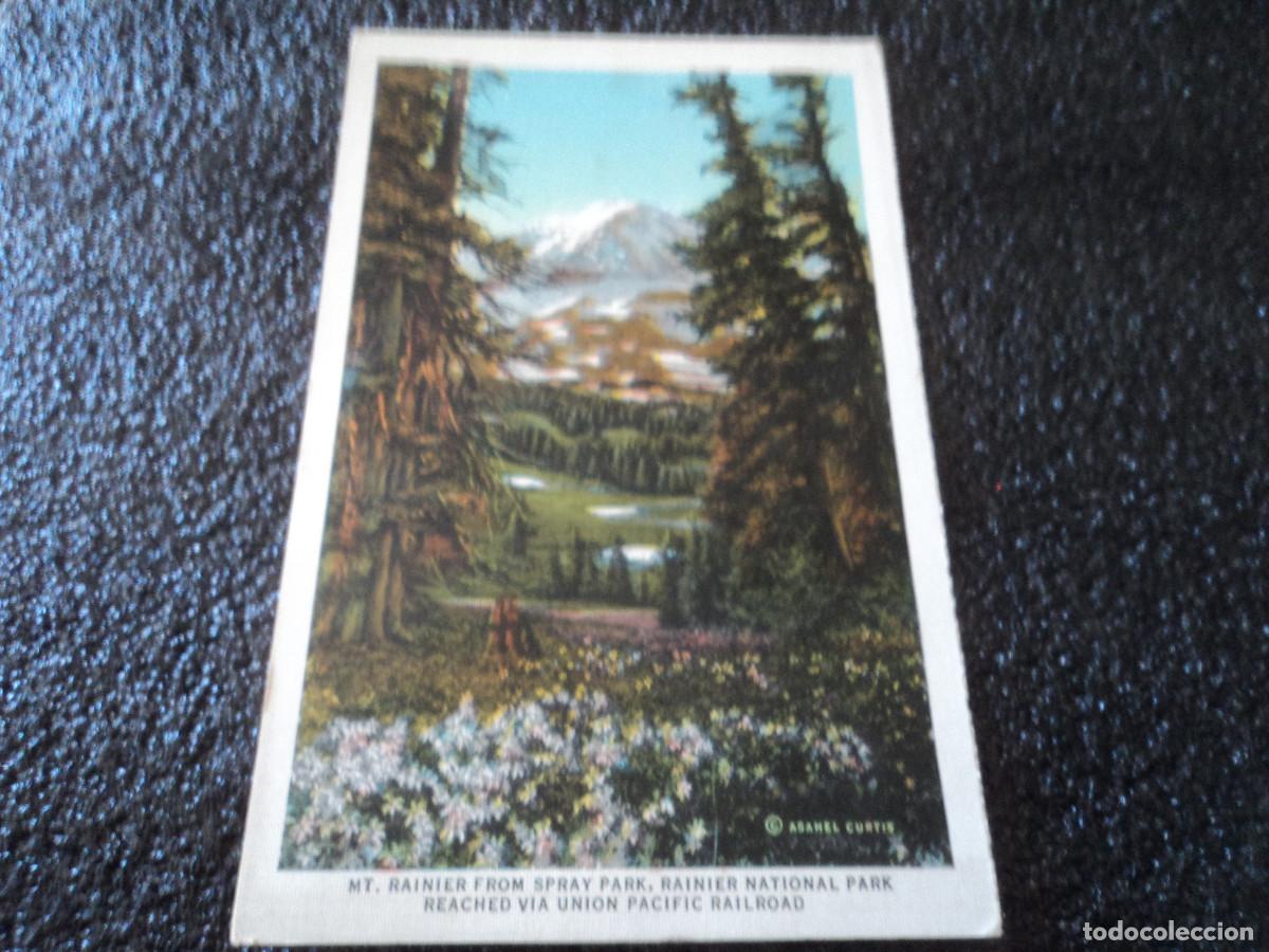 Cartoline: mt. rainier from spray park, rainier national park reached via union pacific railroad