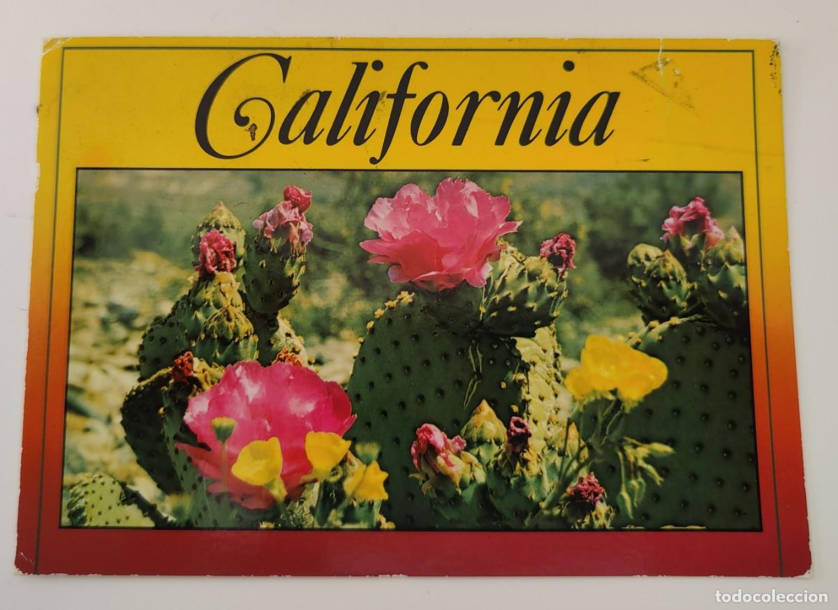 Postales: Postal Floral De California - Foto 1