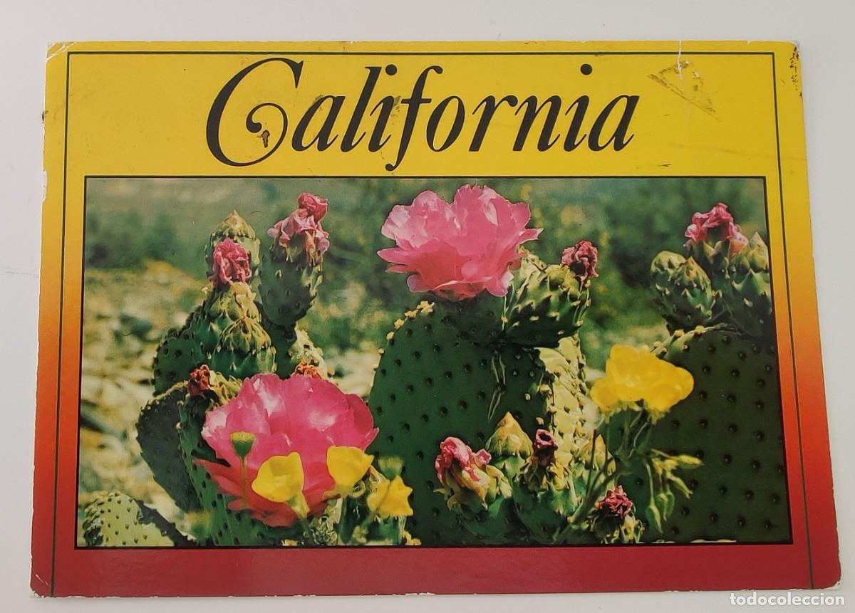 Postales: Postal Floral De California - Foto 3