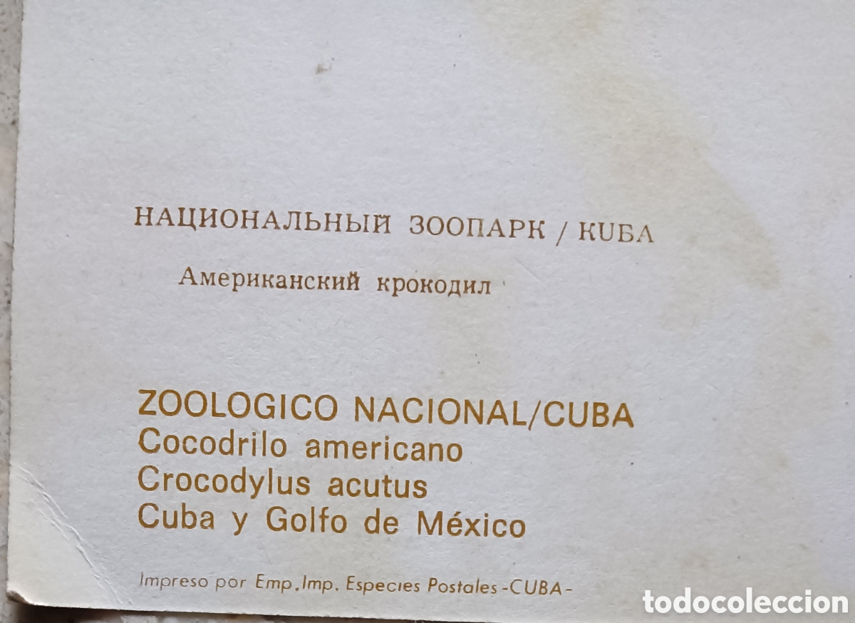 Postales: POSTALES VINTAGE DE CUBA - Foto 5