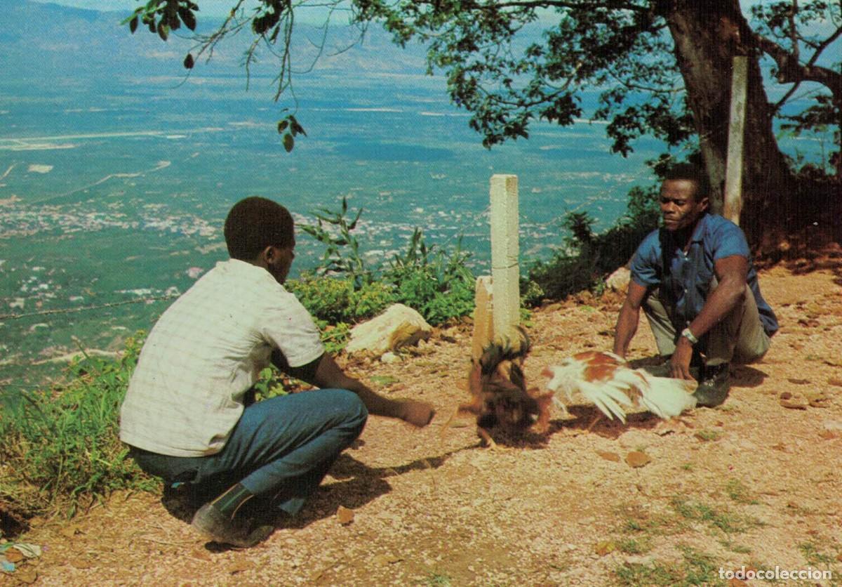 Postales: Haiti Pelea de Gallos - Foto 1