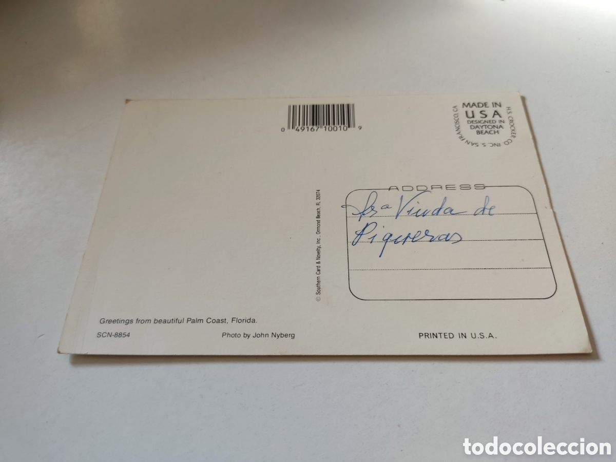 Postales: Postal Palm coast, Florida - Foto 2
