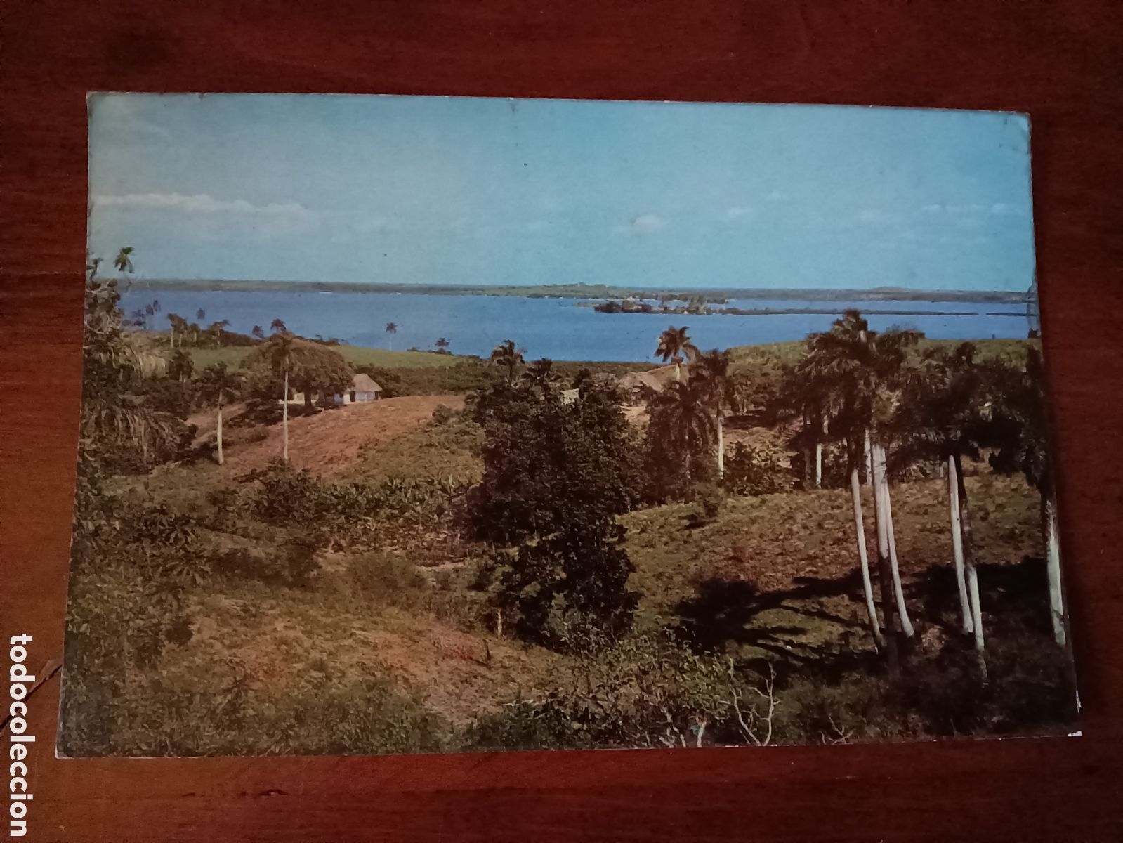 Postales: TARJETA POSTAL VINTAGE - Foto 1