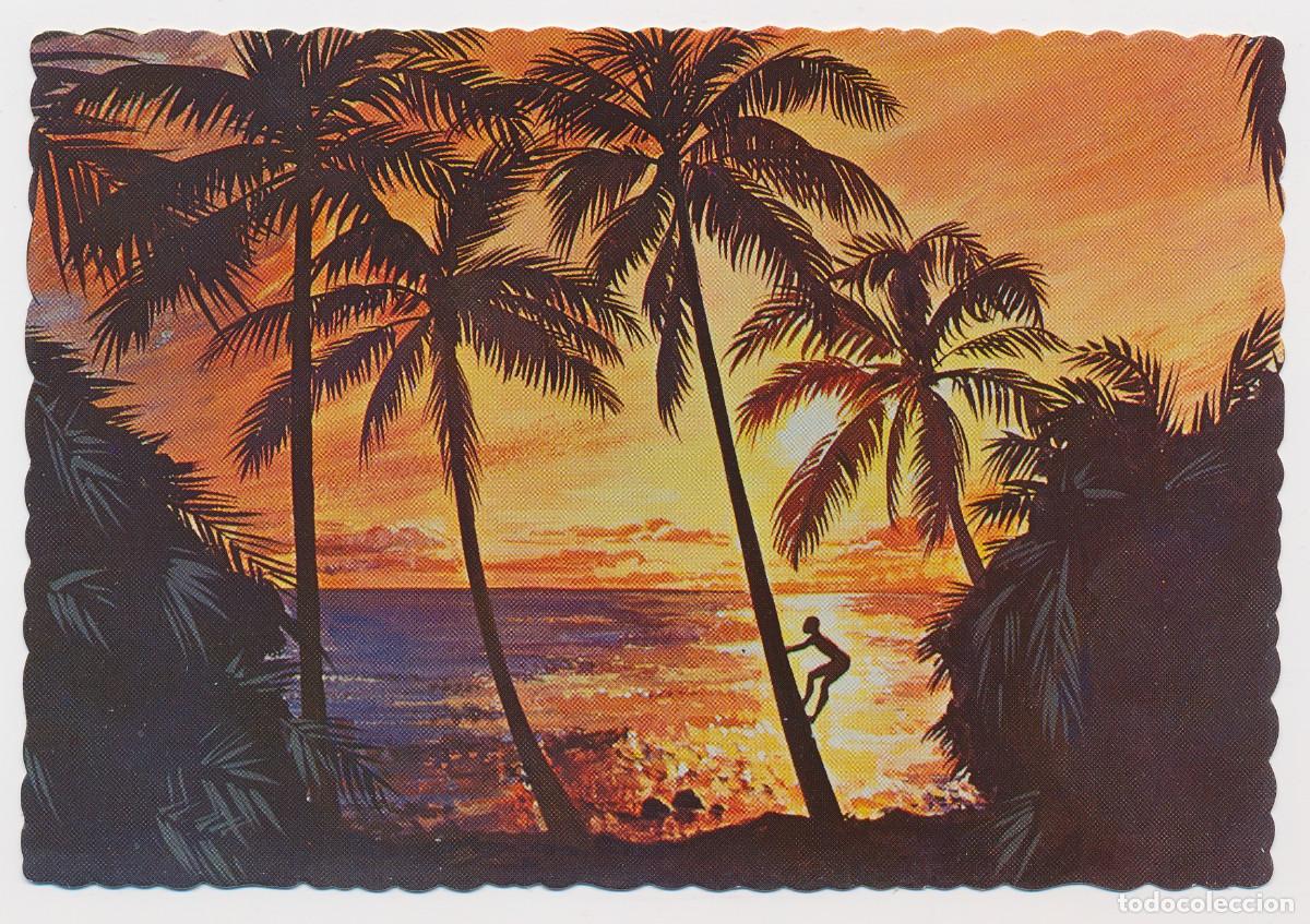 Postais: The Sunny Caribbean, tropical sunset, Caribe puesta del sol, Ed. Dexter Press, a&ntilde;os/year 1970s