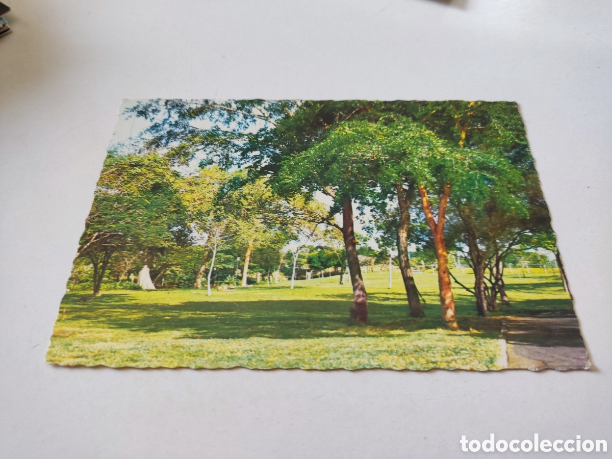 Postcards: Postal parque cachamay, Venezuela