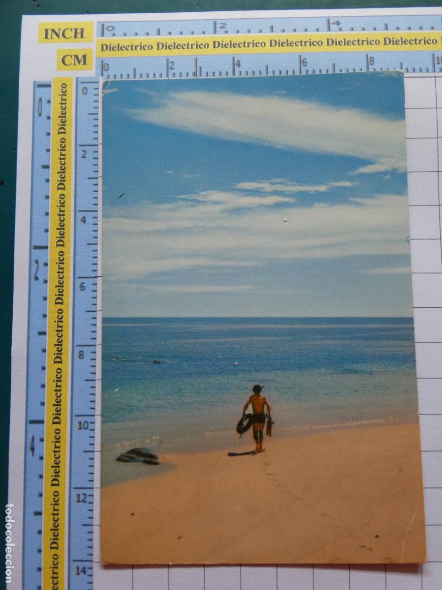 Postcards: POSTAL DE ESTADOS UNIDOS. USA EEUU. PALMILLA LA JOLLA CALIFORNIA PARAISO PESCA PESCADORES 562