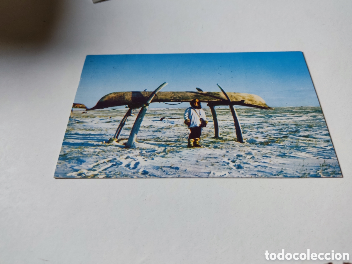 Postales: Postal esquimal Umniak Alaska - Foto 1