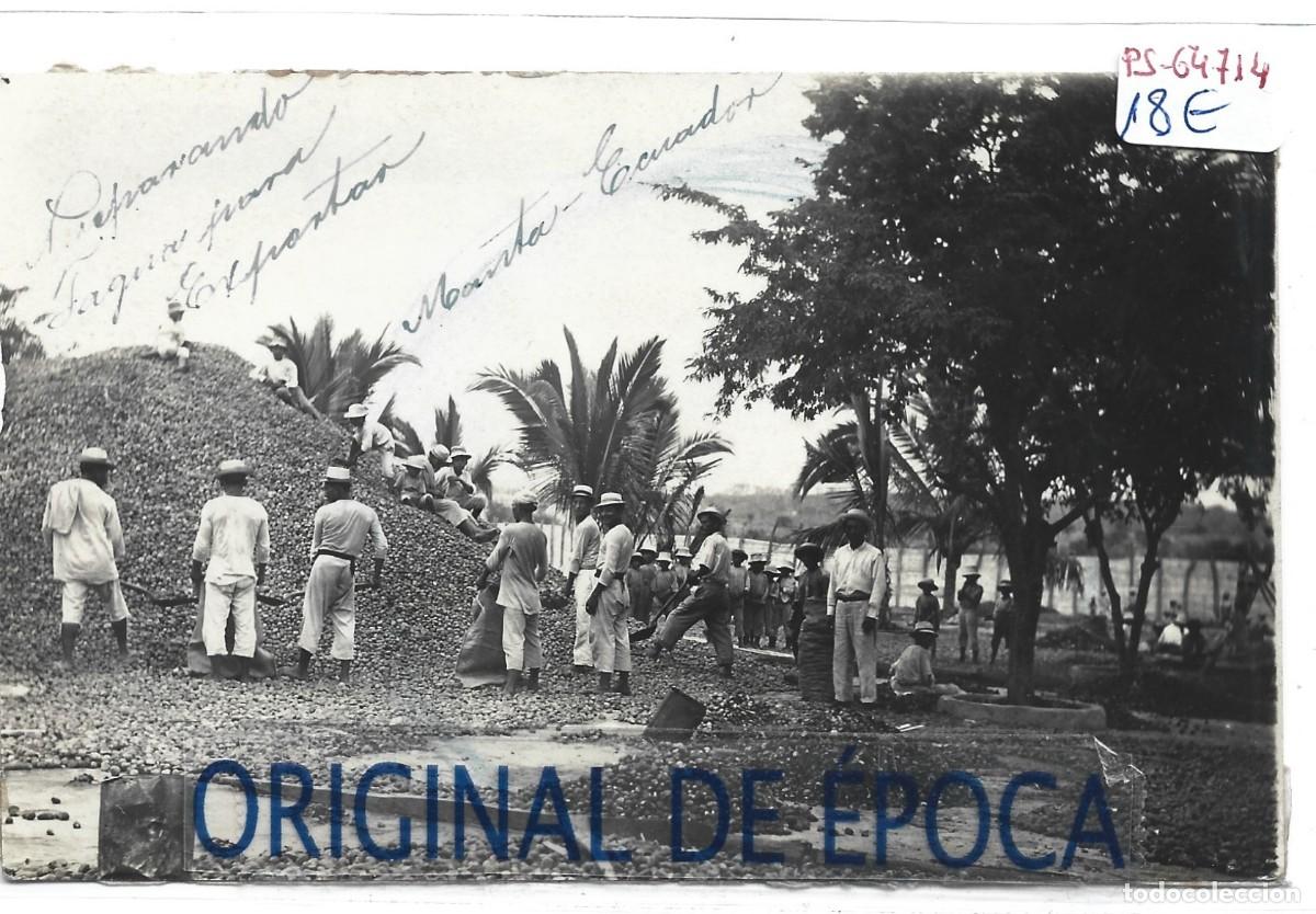 Postais: (PS-64714)POSTAL FOTOGRAFICA DE ECUADOR-MANTA.PREPARANDO ? PARA EXPORTAR