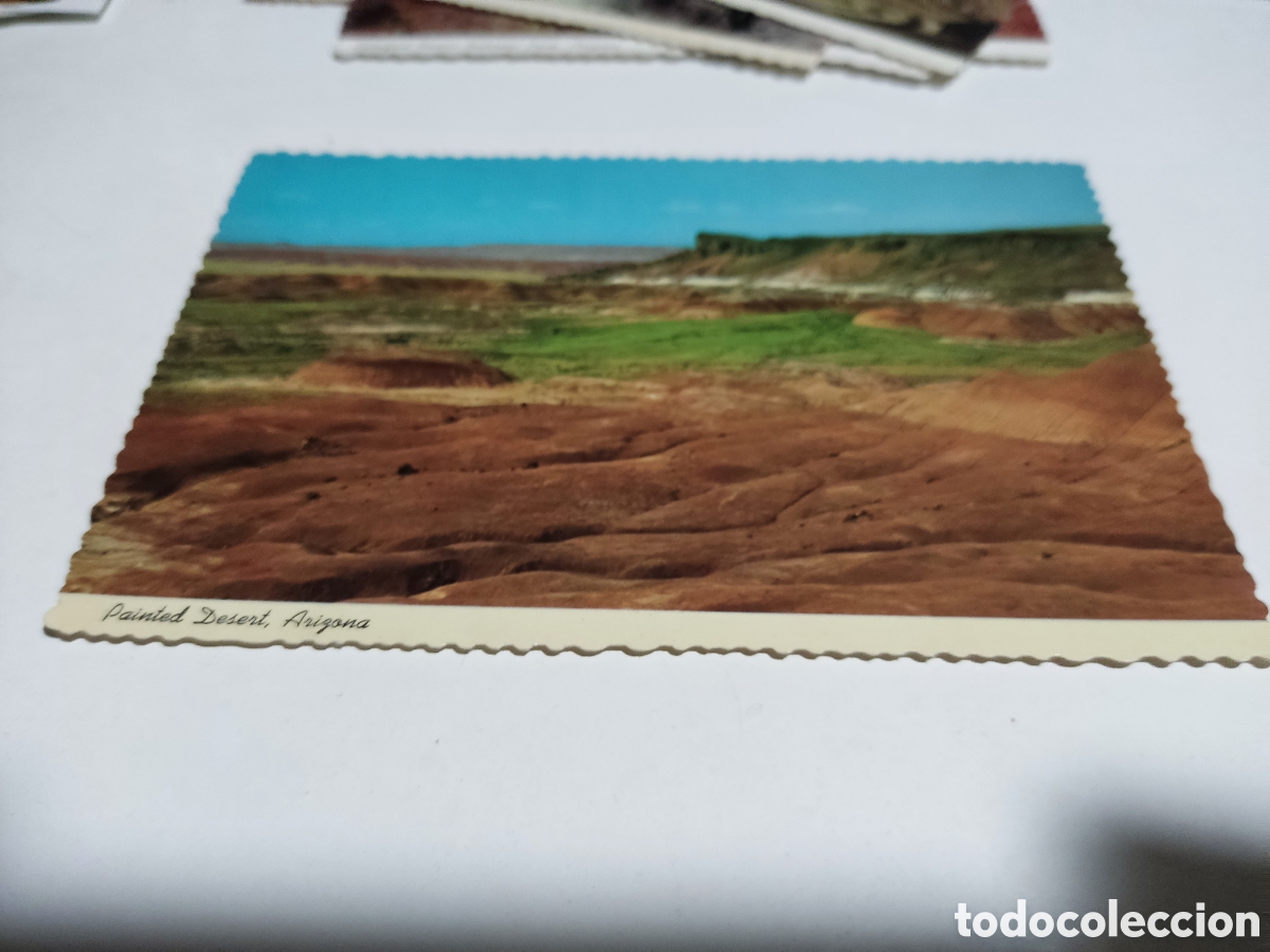 Postais: Postal bosque petrificado Arizona desierto