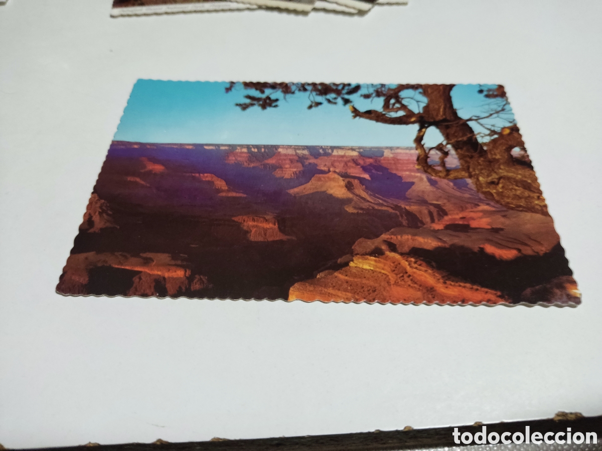 Postais: Postal gran ca&ntilde;&oacute;n de Colorado