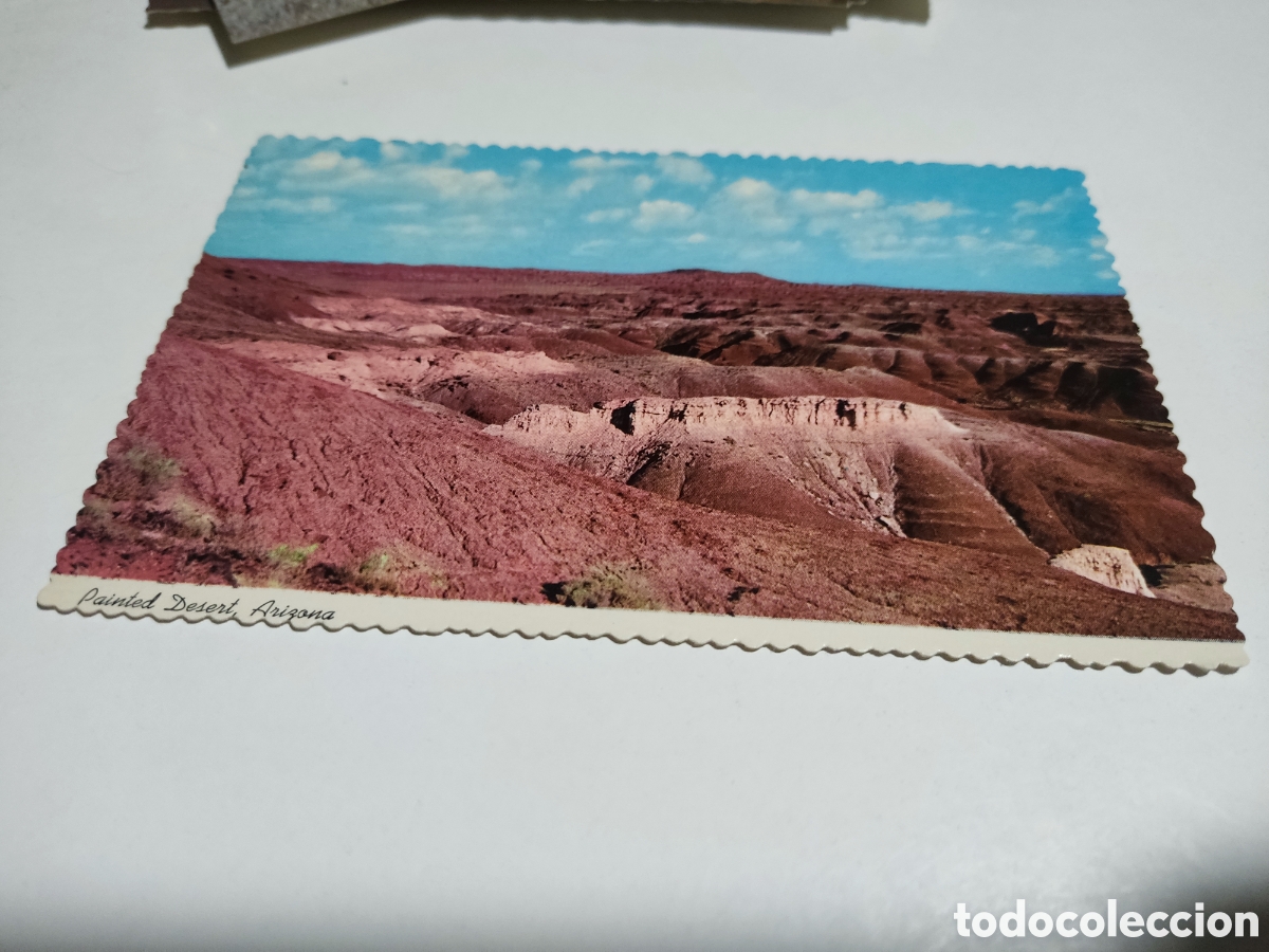 Postales: Postal desierto Arizona - Foto 1