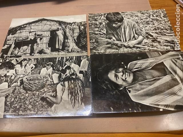 Cartes Postales: Venezuela. 4 postales. Venezuela Pintoresca. Sin circular