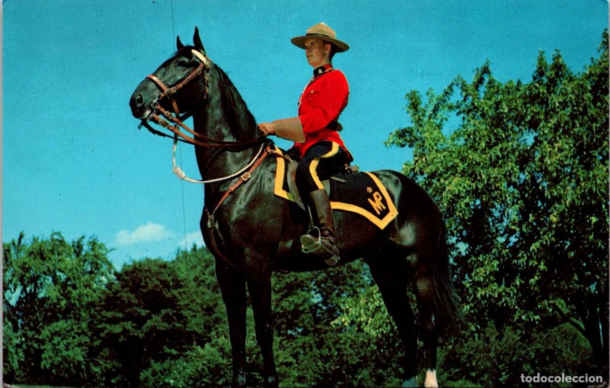 Postcards: Canad&aacute; - Royal Canadian Mounted Police - n&ordm; P10642 - 140x89mm