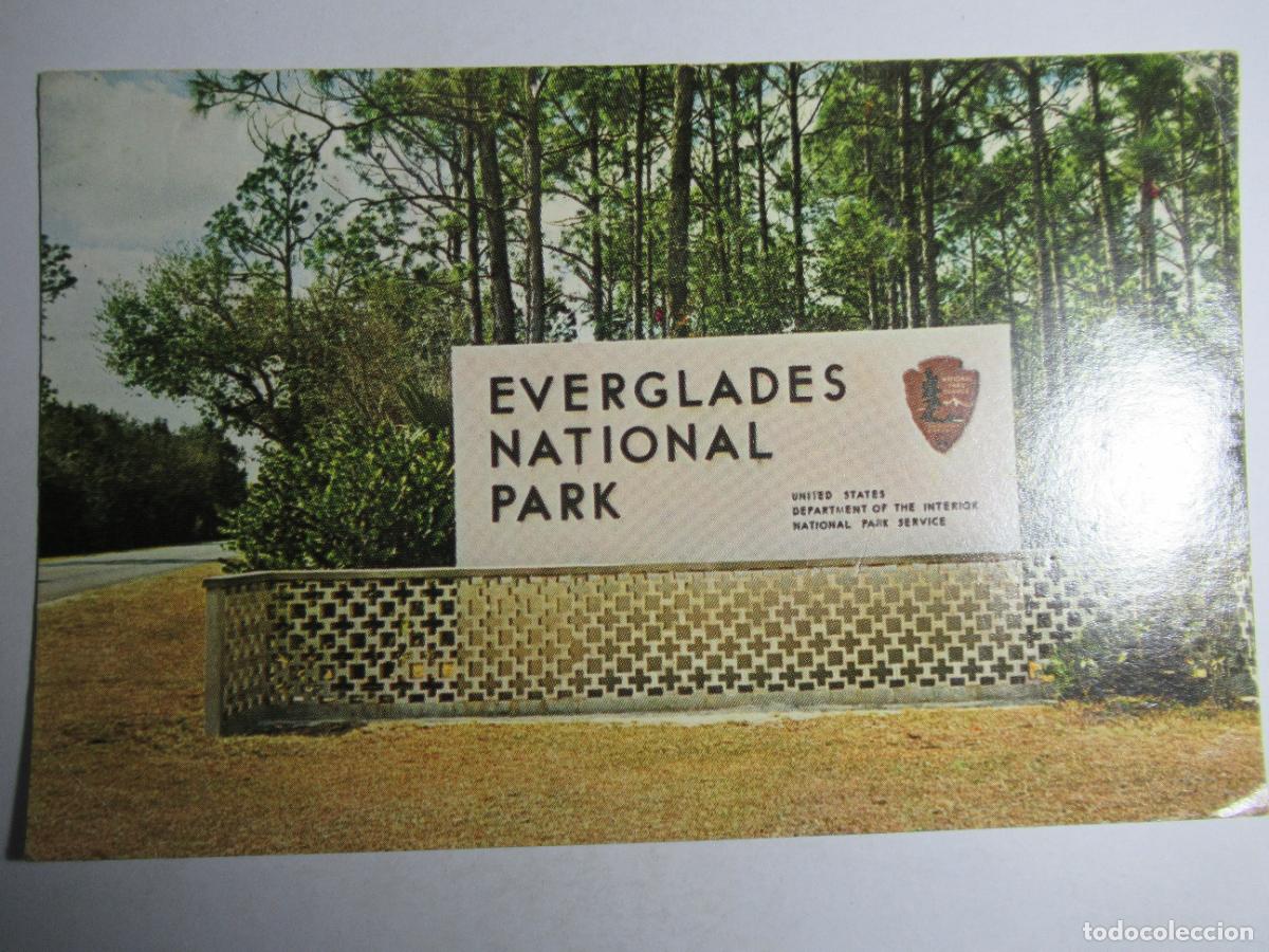 Postales: Florida - Everglades National Park - Foto 1