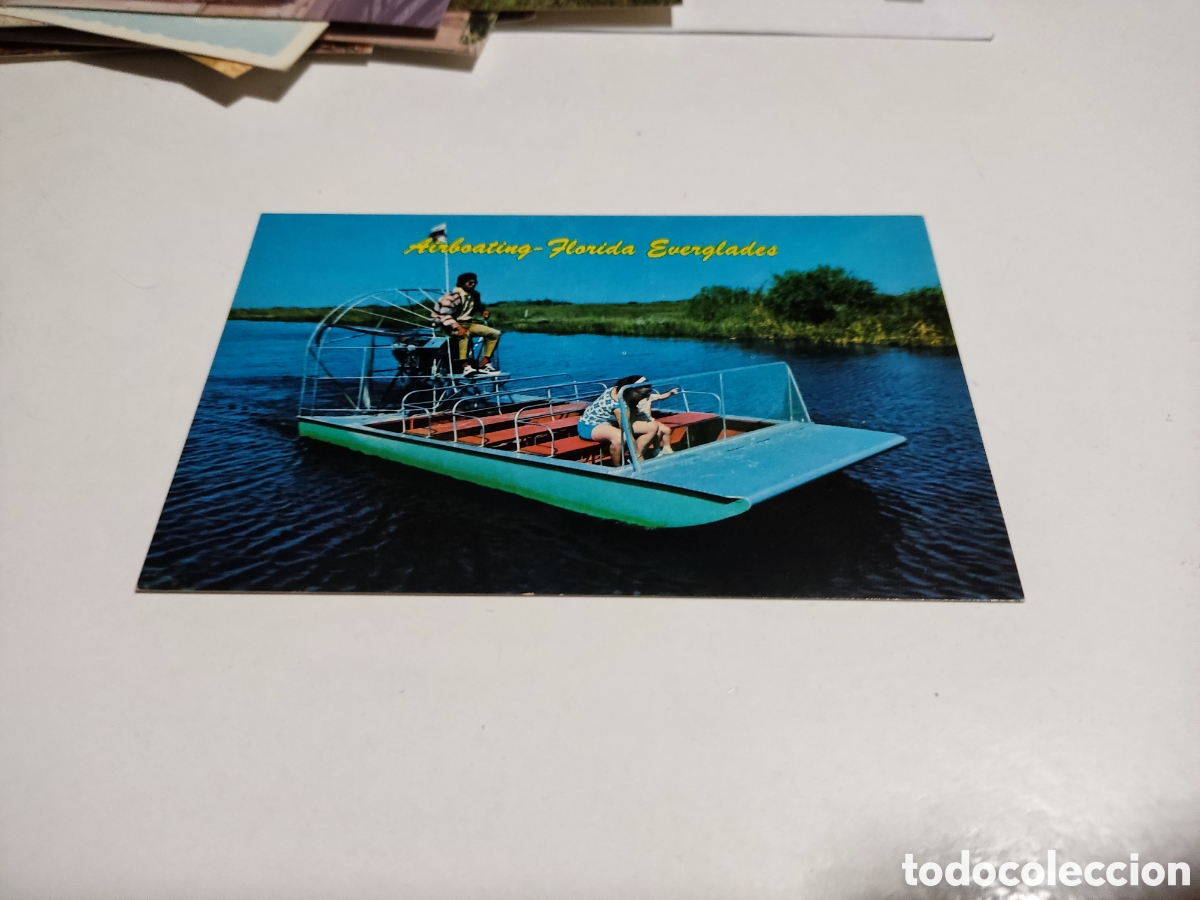 Postais: Postal Airboating Florida everglades