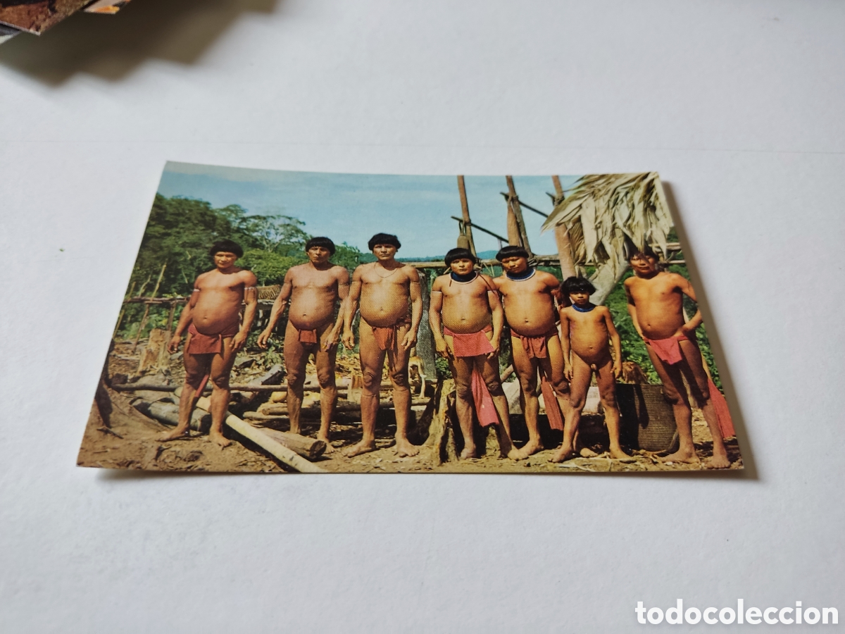 Postais: Postal indios Makiritares, amazonas Venezuela