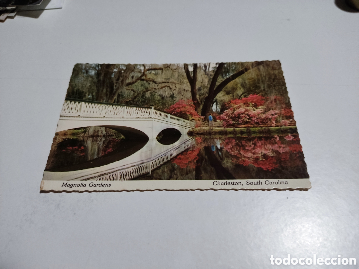 Postais: Postal Magnolia Gardens, charlest&oacute;n, Carolina