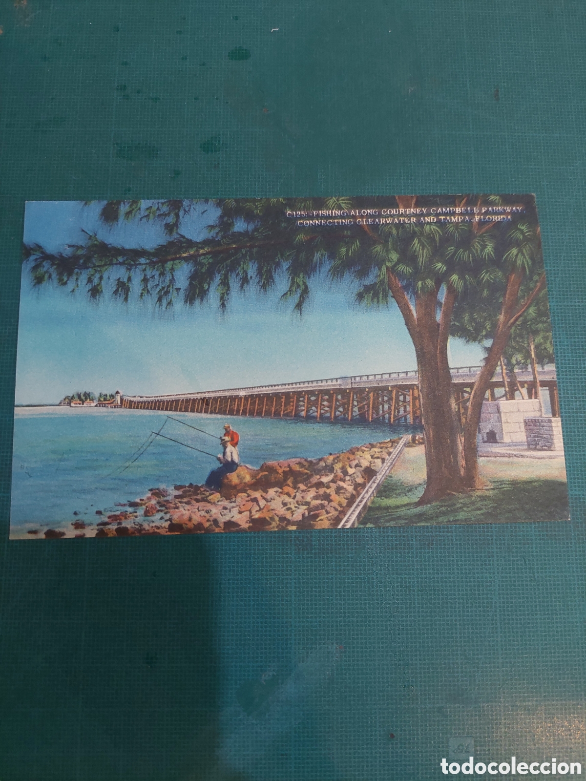 Postales: Florida postal antigua - Foto 1