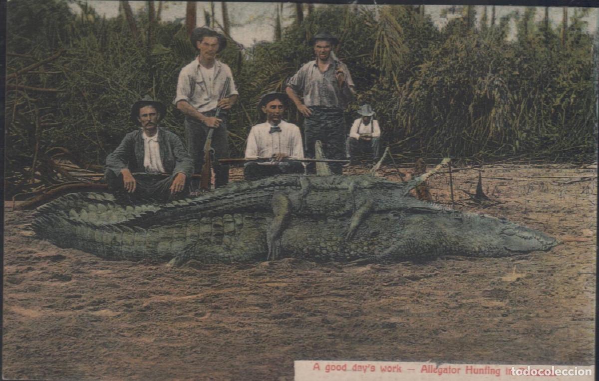 Postales: Panam&aacute;.Cazadores de lagartos - Foto 1