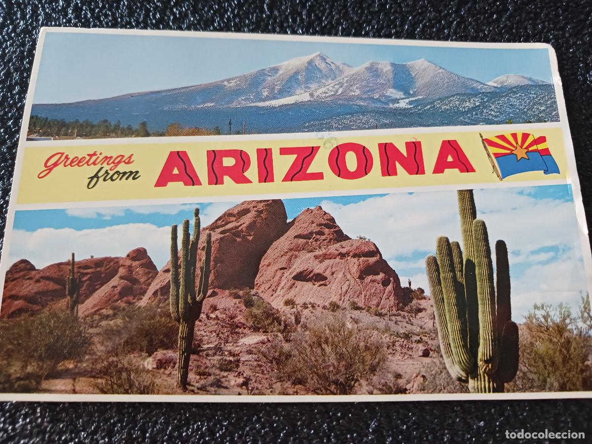 Postales: greetings from arizona, circulada 1981 - Foto 1