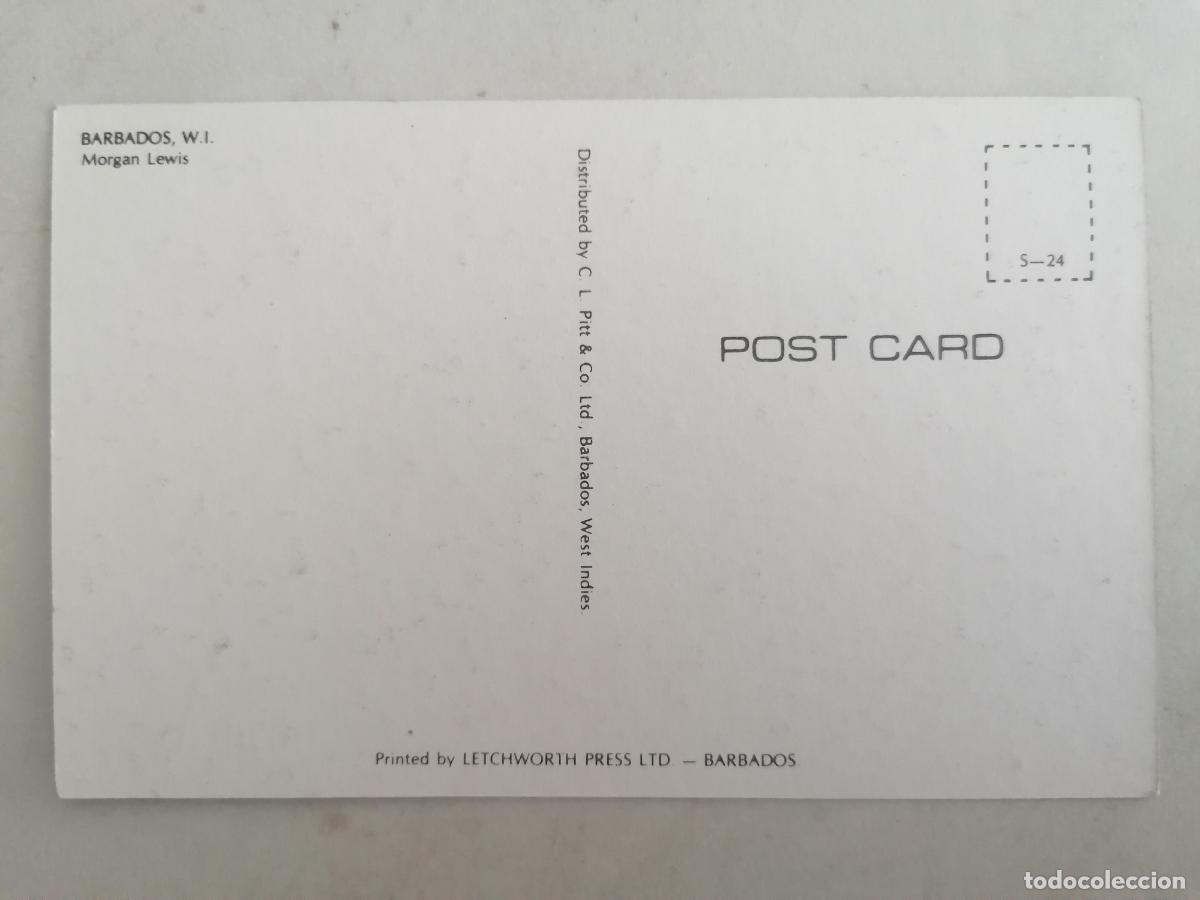 Postales: POSTAL BARBADOS, MORGAN LEWIS - Foto 2