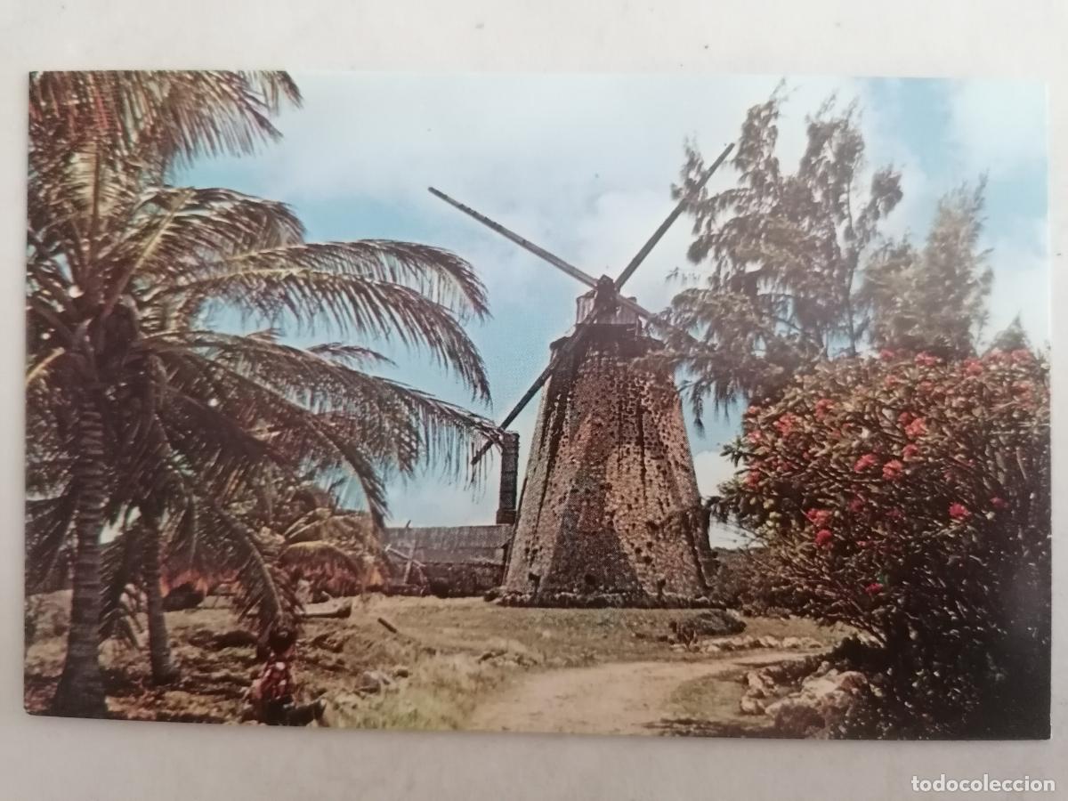 Postais: POSTAL BARBADOS, MORGAN LEWIS