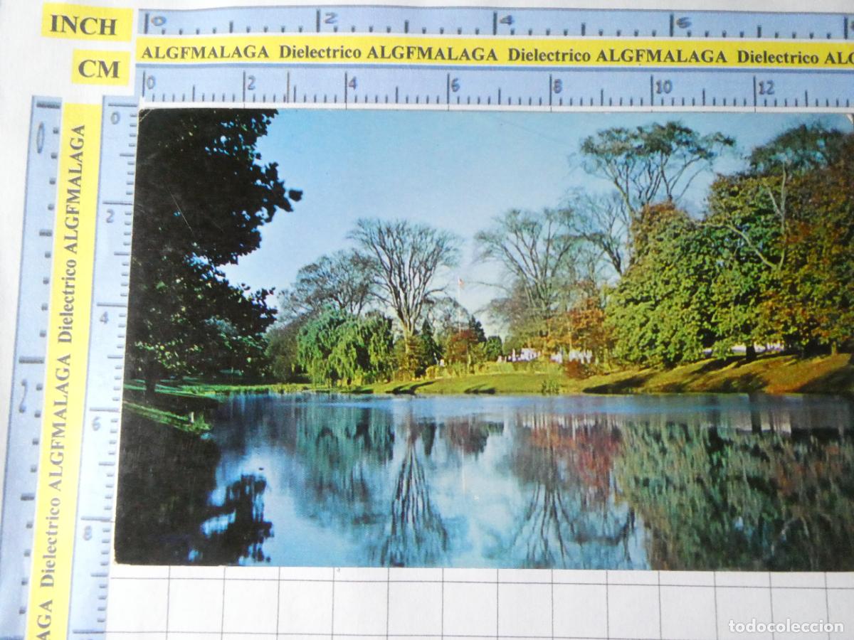 Postales: POSTAL DE ESTADOS UNIDOS. LONG ISLAND BEAUTY SPOT POND. 2421