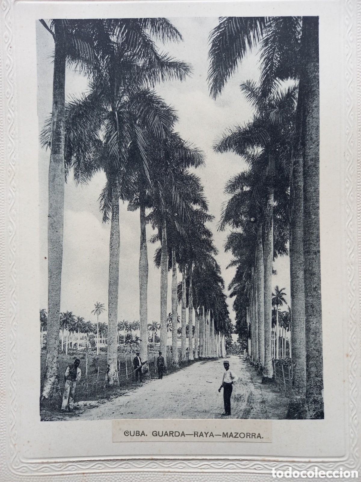 Postkarten: CUBA GUARDA-RAYA-MAZORRA - L&Aacute;MINA DE PRINCIPIOS DEL SIGLO XX. RECUERDO DE LA HABANA, CUBA.