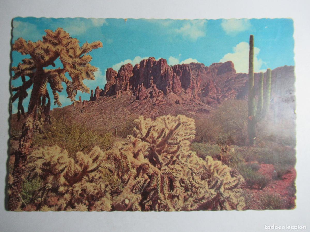 Postales: Superstition Mountain - Saguaro Cactus - Foto 1