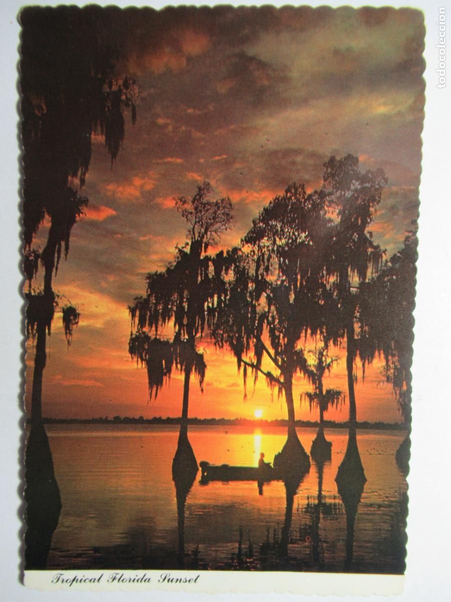 Postales: Floridas colorful sunset - Foto 1