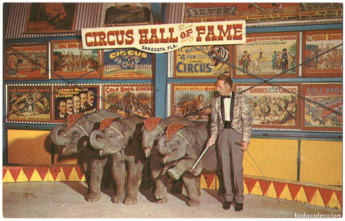 Postales: 4 postales USA Elefantes en circo - Foto 1