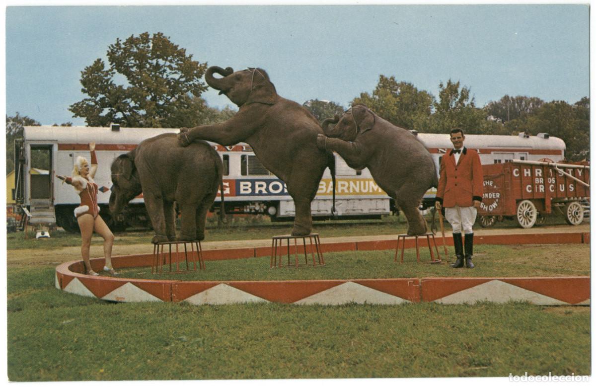 Postales: 4 postales USA Elefantes en circo - Foto 3